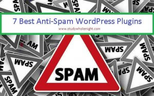Read more about the article 7 Best Anti-Spam WordPress Plugins