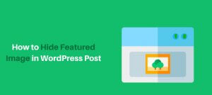 Read more about the article How to Hide Featured Images on Individual Posts in WordPress
